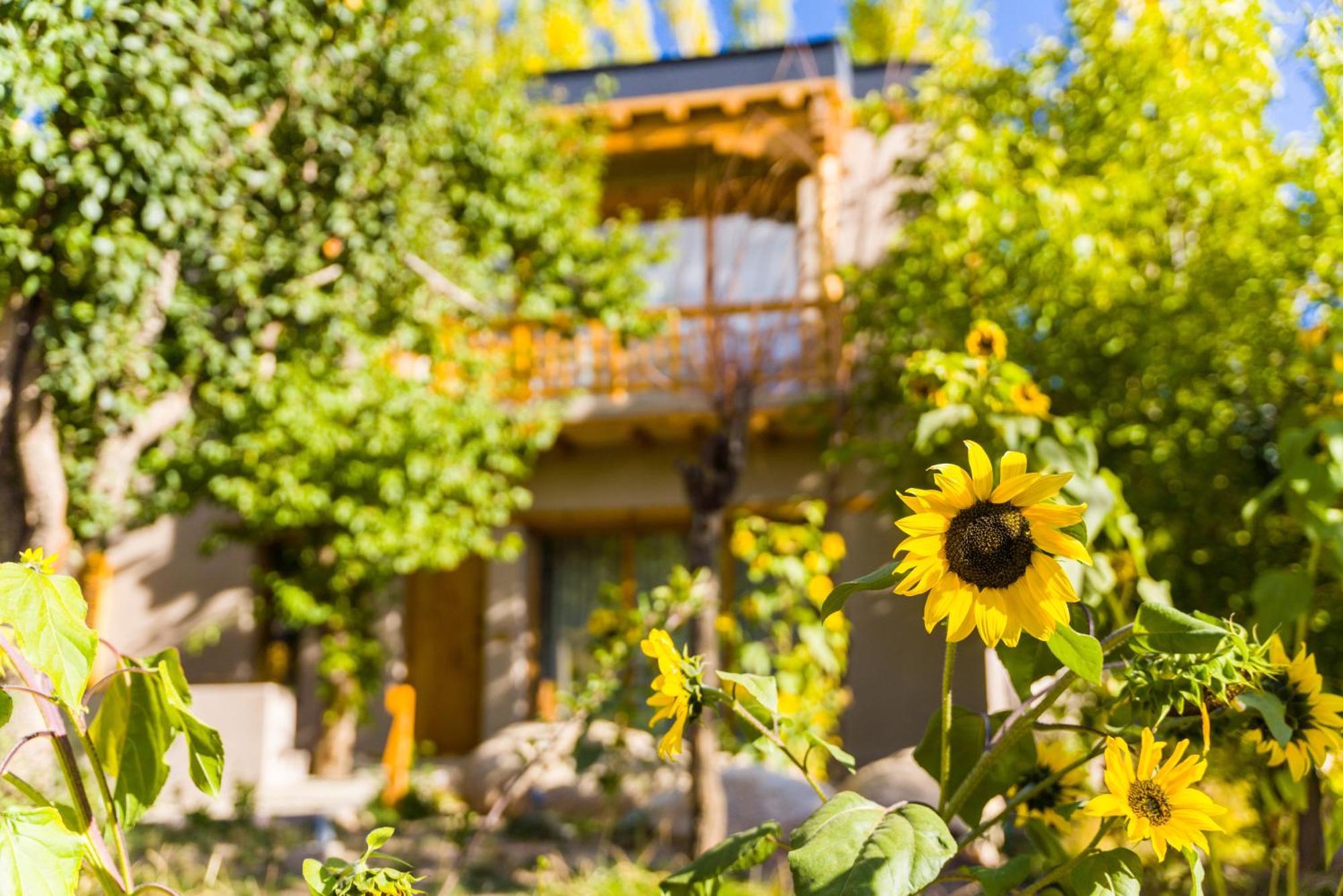 Dolkhar Resort Лех Екстер'єр фото
